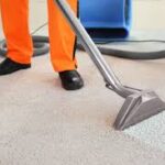 Find Carpet Cleaning Services For Commercial Use