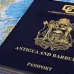 More About Dual Citizenship Under Immigration Law