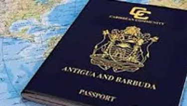 More About Dual Citizenship Under Immigration Law