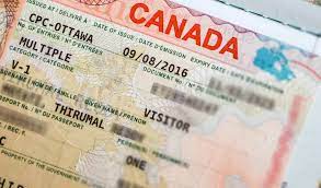 Tips and Tricks for Obtaining a Canadian Visa as a New Zealand Citizen