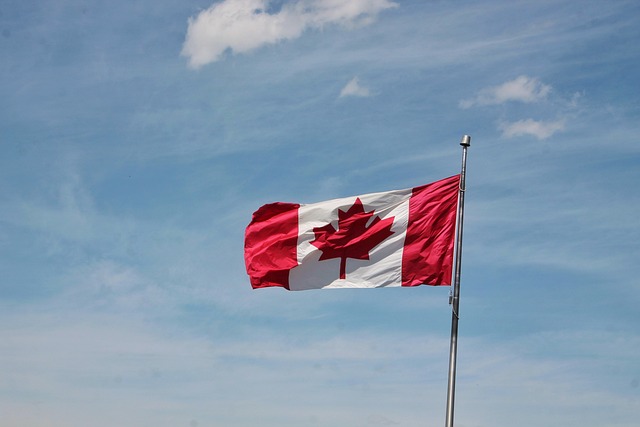 Five Tips for a Successful Canada Visitor Visa and Urgent Visa Application