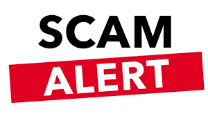 Have I Been Scammed? How to Recognize and Respond to Online Scams
