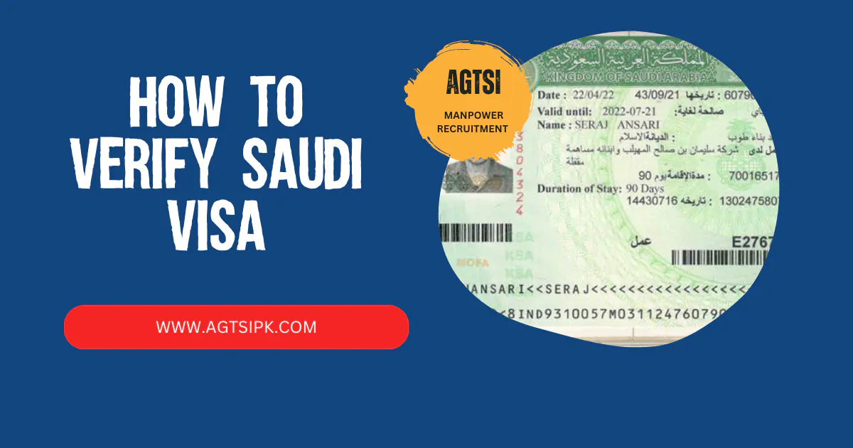 Demystifying the Saudi Visa Process for Romanian Citizens A Comprehensive Guide