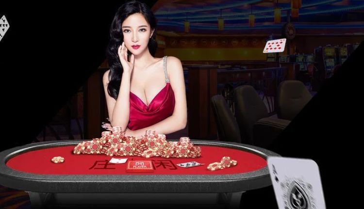 BRABET Casino: Play More, Win More