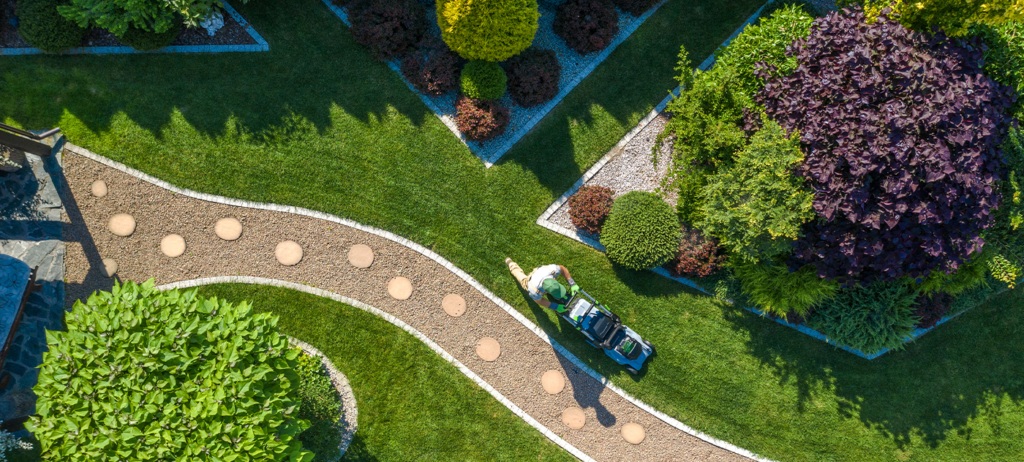 Top Landscaping Companies and Contractors in Abu Dhabi