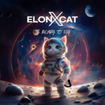 elonxcat